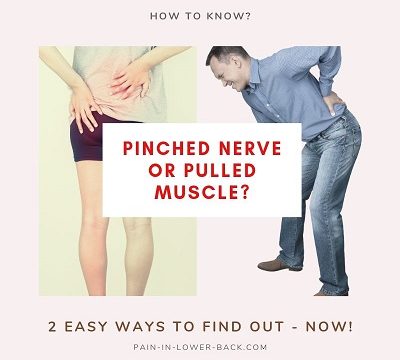 pinched or pulled muscle in lower back