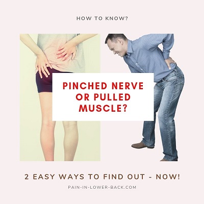 pinched or pulled muscle in lower back