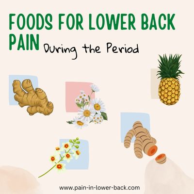 foods and herbs for low back pain during the period
